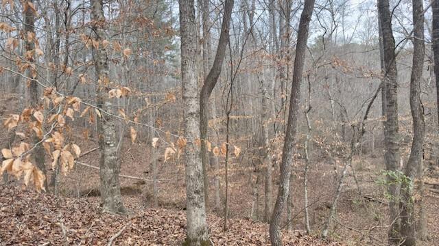 00Lot1 N Helton Road