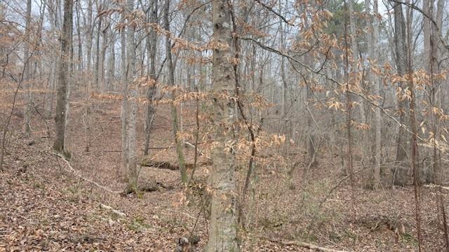 00Lot1 N Helton Road