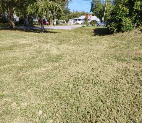 Vacant Land For Sale - 857 College St St<br/> Royston, GA 30662