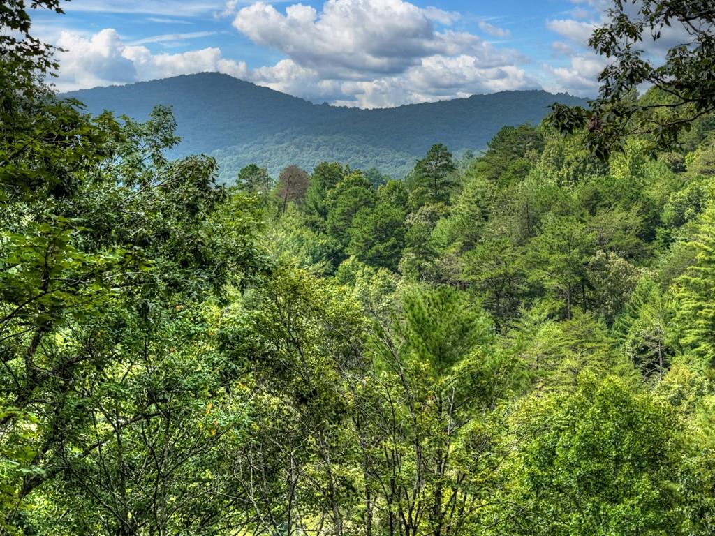 1821 Stanley Creek Road