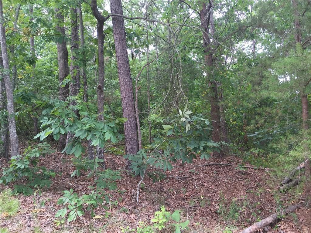 00 Pirkle Leake Road