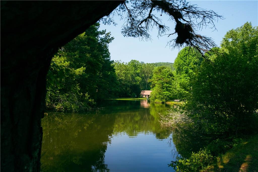 184 Rockhouse Road, Cherry Log, Georgia image 29