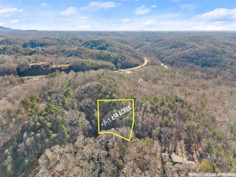 Vacant Land For Sale - Golden Lot 2 Avenue<br/> Dahlonega, GA 30533