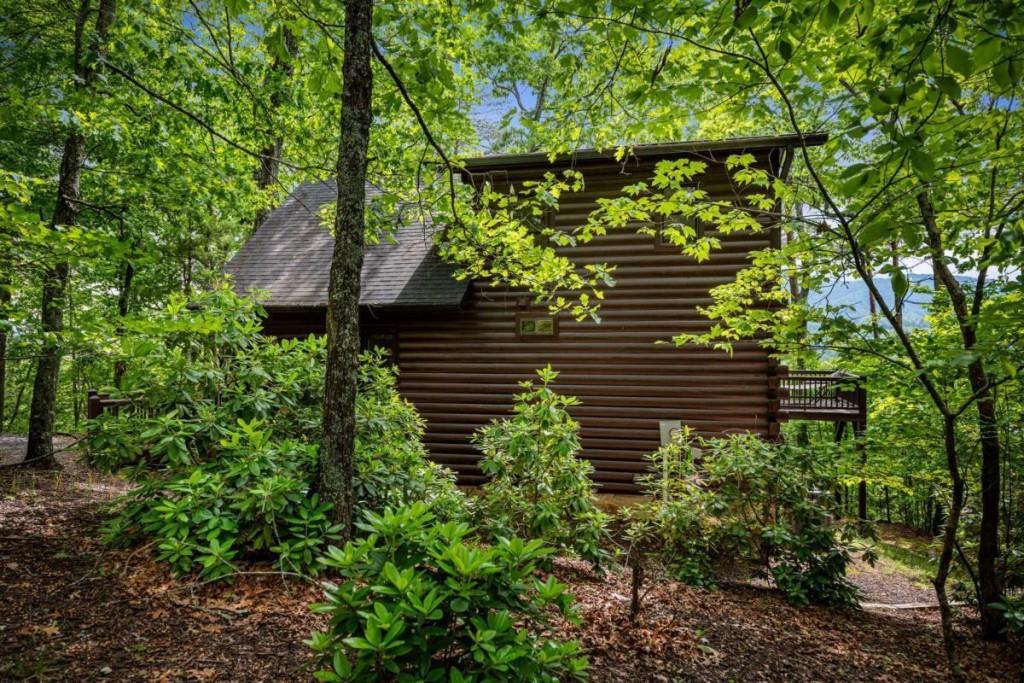 95 Rosiey Lane, Blue Ridge, Georgia image 21