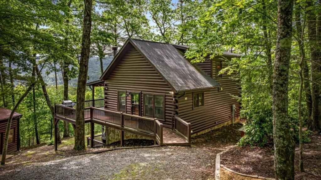 95 Rosiey Lane, Blue Ridge, Georgia image 1