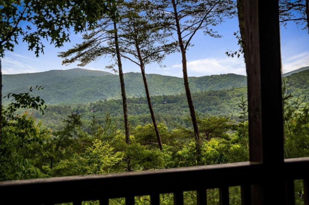 95 Rosiey Lane, Blue Ridge, Georgia image 38