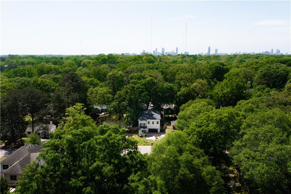 156 Martha Avenue, Atlanta, Georgia image 6