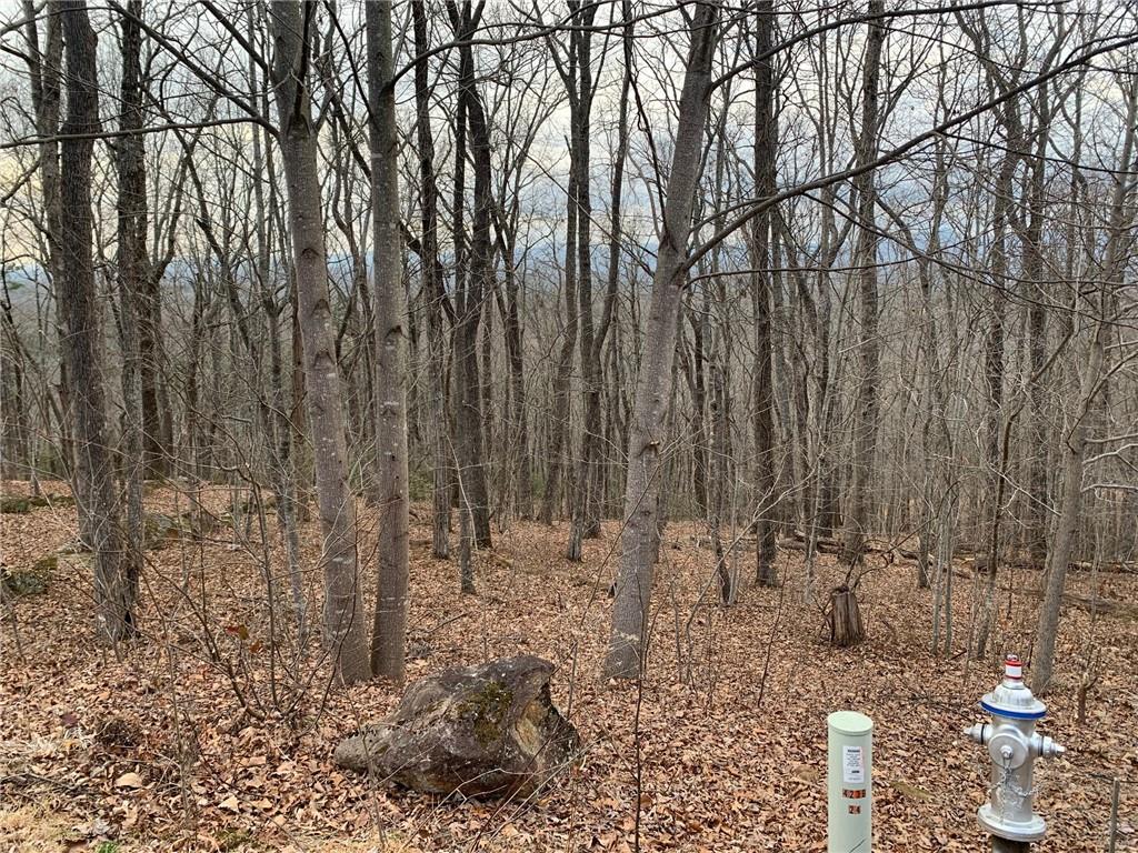 Lot 29 Long Mountain Trail