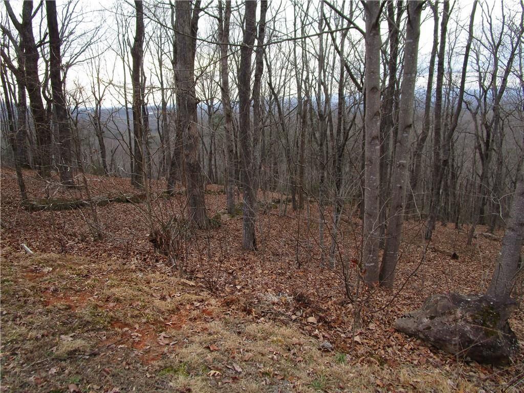 Photo of 29 Long Mountain Trail, Cleveland, GA 30528 (MLS # 7726590)