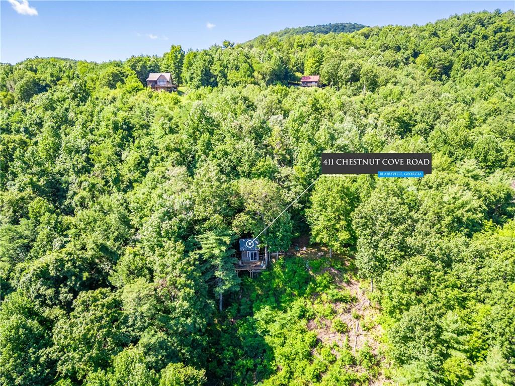 411 Chestnut Cove Road