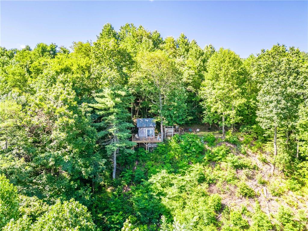 411 Chestnut Cove Road