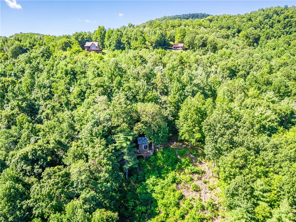 411 Chestnut Cove Road