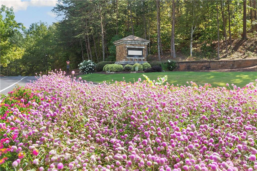 Chestatee - Residential