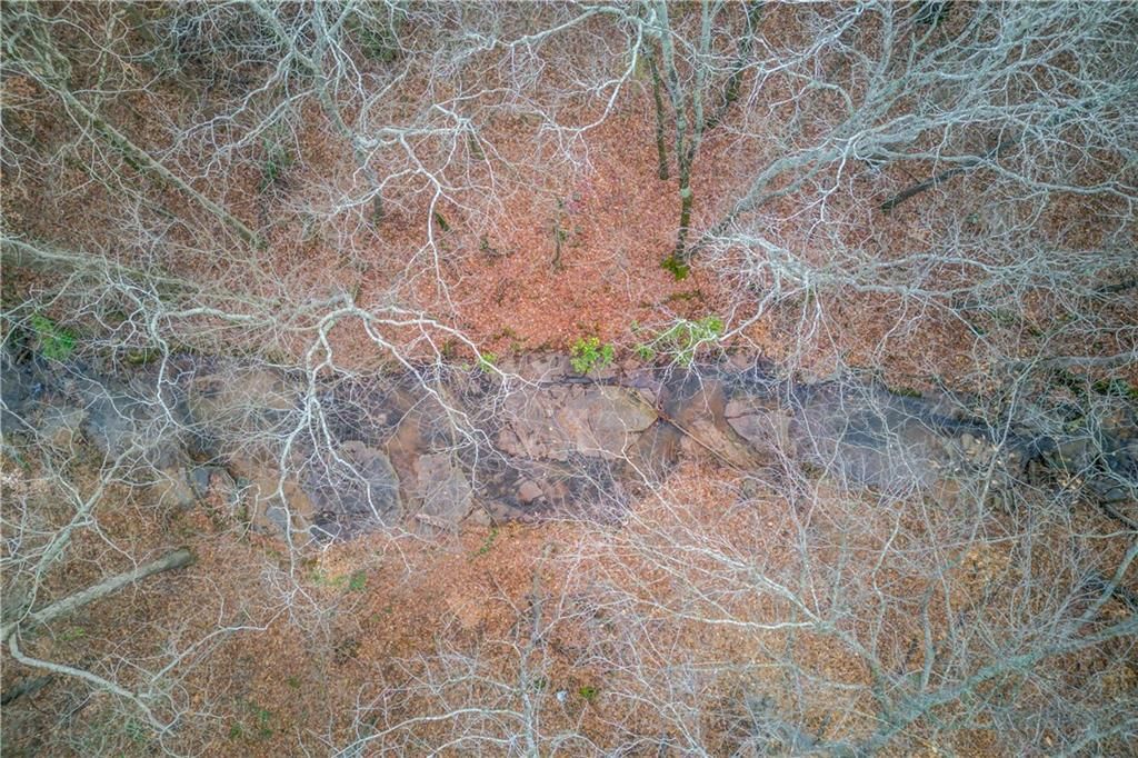 listing image 74