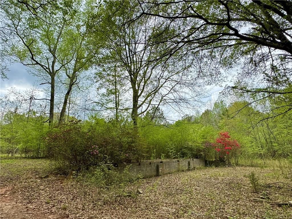 listing image 69