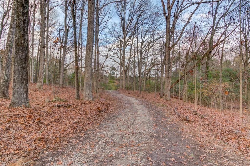 listing image 78