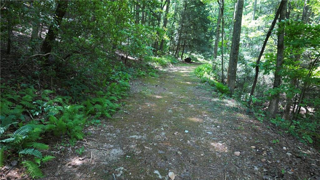 1315 Chimney Mountain Flats Trail, Clarkesville, Georgia image 17