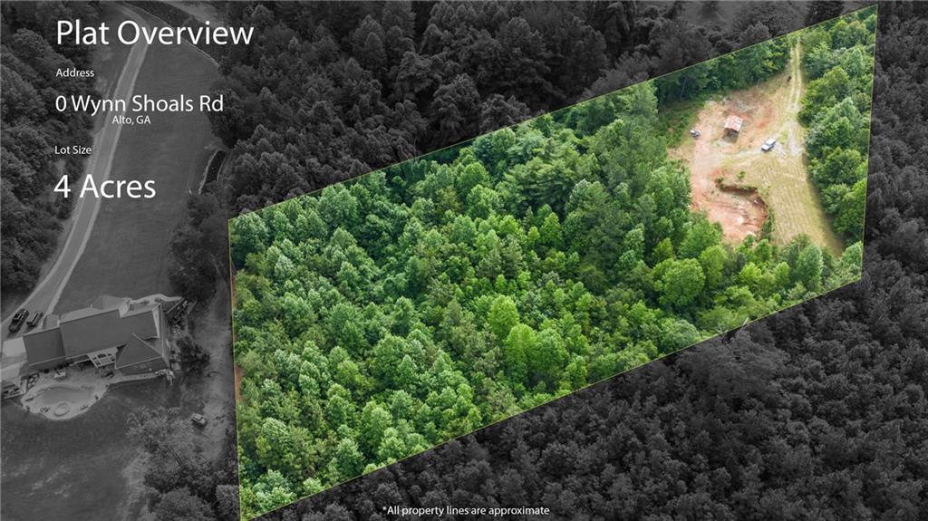 Located in Banks County, this 4.09-acre parcel on Cypress Drive offers the perfect blend of privacy and convenience. With no HOA and limited build restrictions, this wooded lot has been partially cleared and ready to build. Power pole and septic in place with city water available. Quiet gravel road off Whnn Shoals Road offers a peaceful rural retreat or an investment opportunity. This property is just minutes from Highway 365 for easy access to Cornelia, Gainesville, and Commerce. Don’t miss your chance to own a slice of North Georgia countryside, bring your builder and your vision!