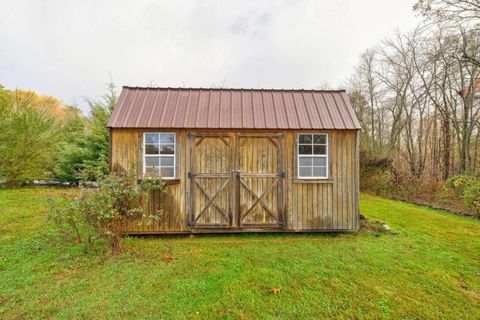 A home in Blue Ridge