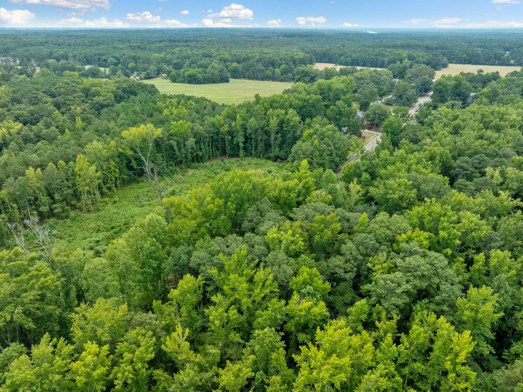 00 Dunwick Lane, Mcdonough, Georgia image 11