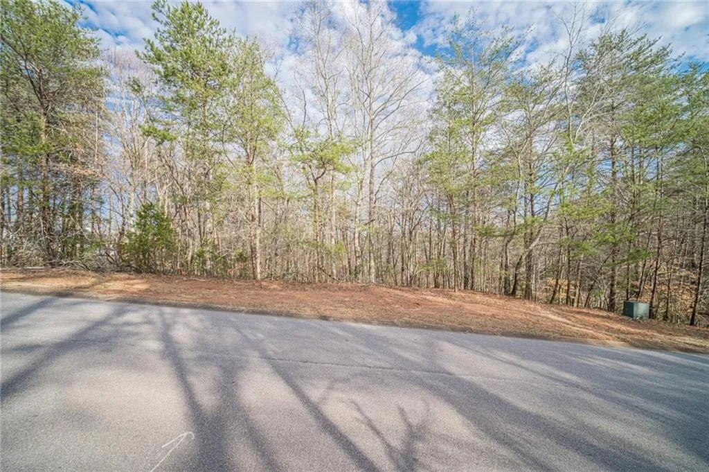 Gainesville, Georgia 30506, United States, ,Land,Pending,2482