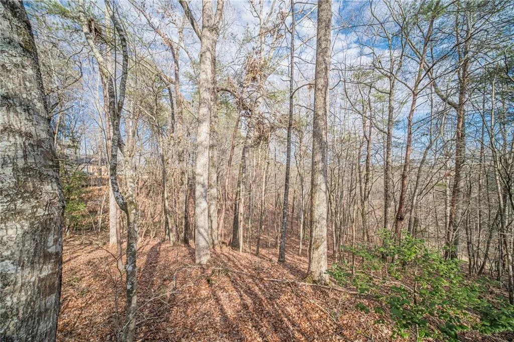 Gainesville, Georgia 30506, United States, ,Land,Pending,2482