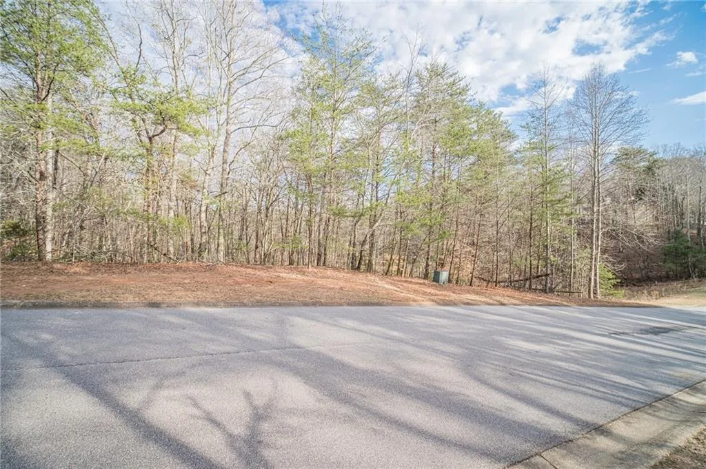 Gainesville, Georgia 30506, United States, ,Land,Pending,2482