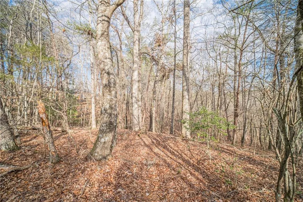 Gainesville, Georgia 30506, United States, ,Land,Pending,2482