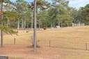 226 Farmbrook Parkway, Stockbridge, Georgia image 30