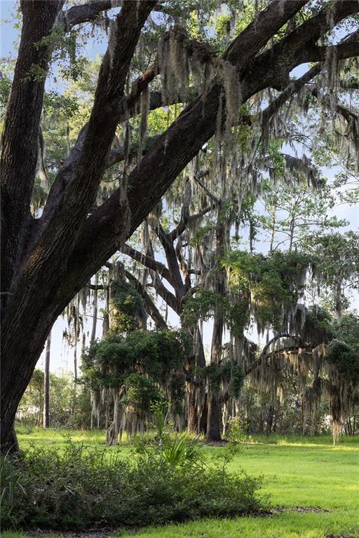 Hampton Island - Residential