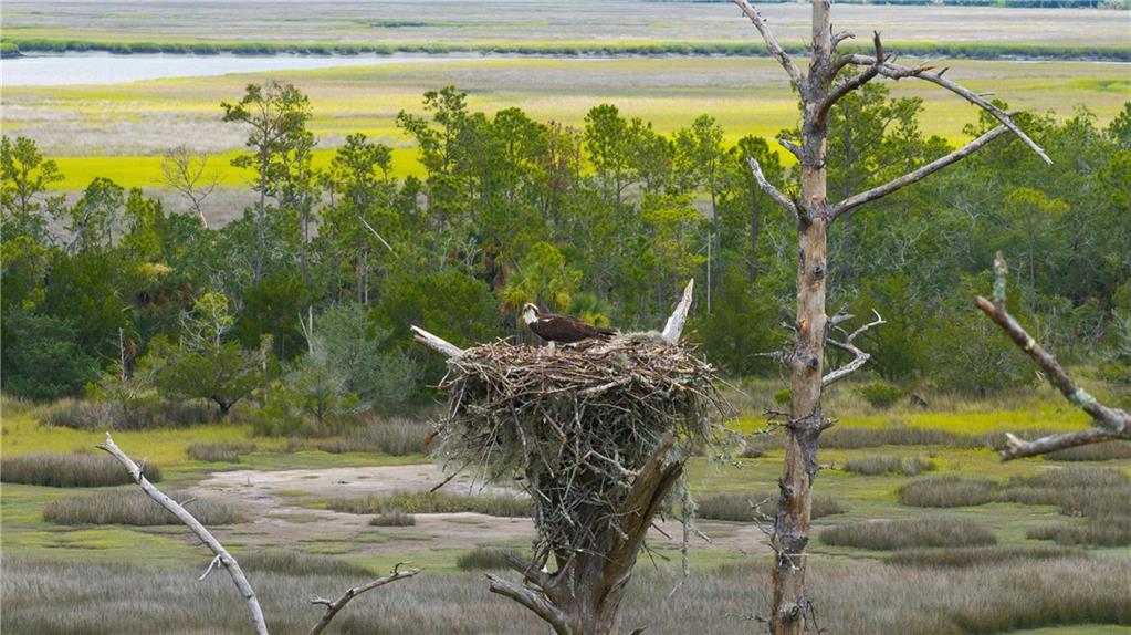 Hampton Island - Residential