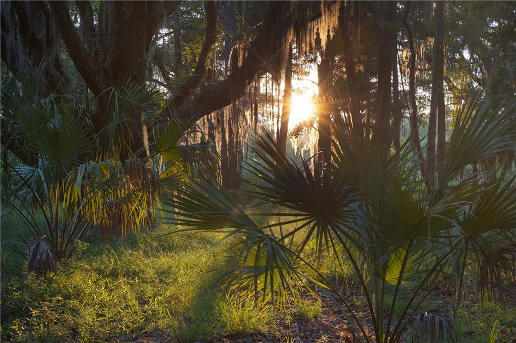 Hampton Island - Residential