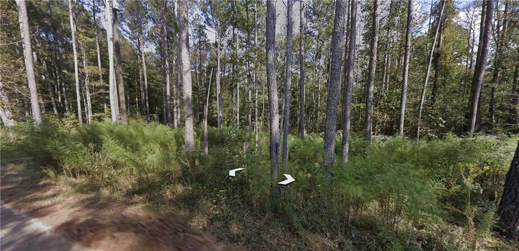 0 Holly Road TRACT 3