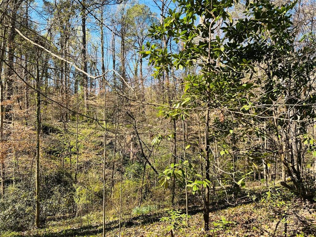 2455 Dodson Drive, Atlanta, Georgia image 6
