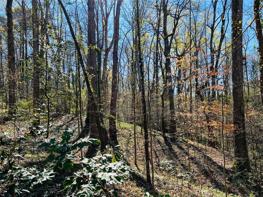 2455 Dodson Drive, Atlanta, Georgia image 7