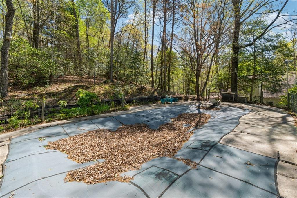 95 Holly Lane, Dahlonega, Georgia image 31