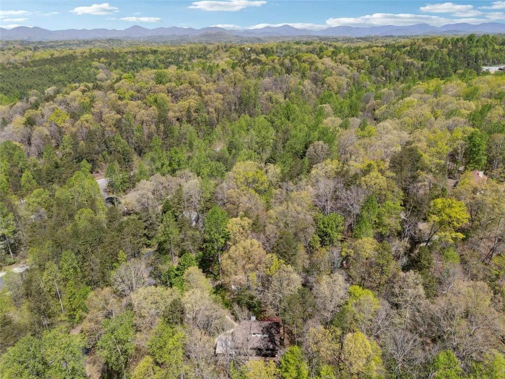 95 Holly Lane, Dahlonega, Georgia image 35