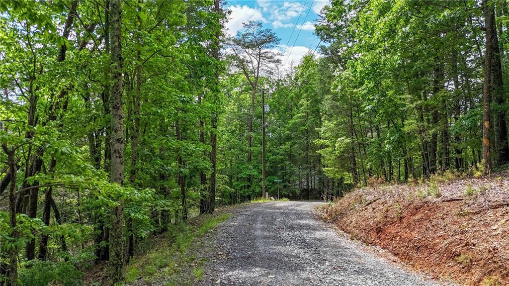 1157 Laurel Creek Road, Blue Ridge, Georgia image 48