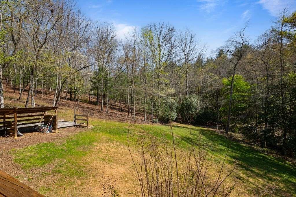 151 Hickory Hills Trail, Mineral Bluff, Georgia image 21