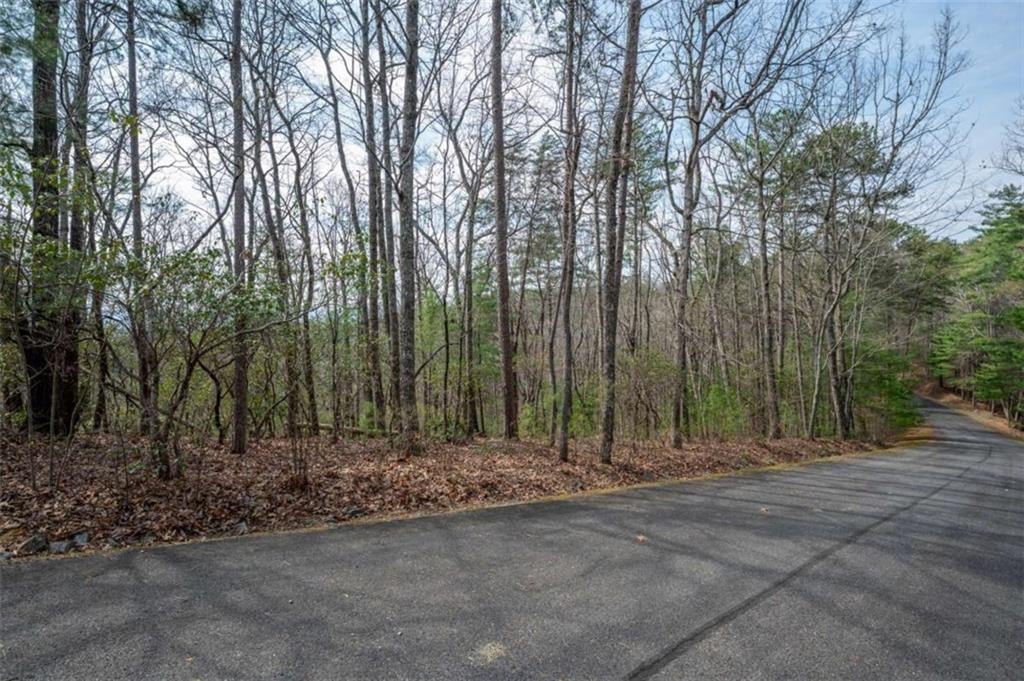 LOT 8 Oceola Drive