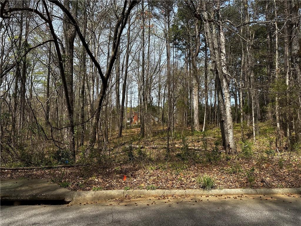 Huiet Drive, Mcdonough, Georgia image 3