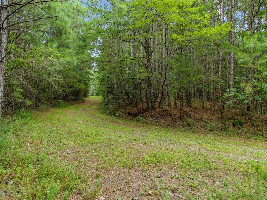 1 Carver Mill Road