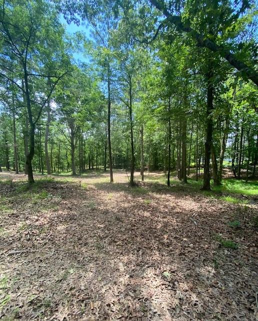 764 Everett Springs Road, Calhoun, Georgia image 5