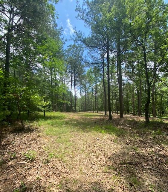 764 Everett Springs Road, Calhoun, Georgia image 3