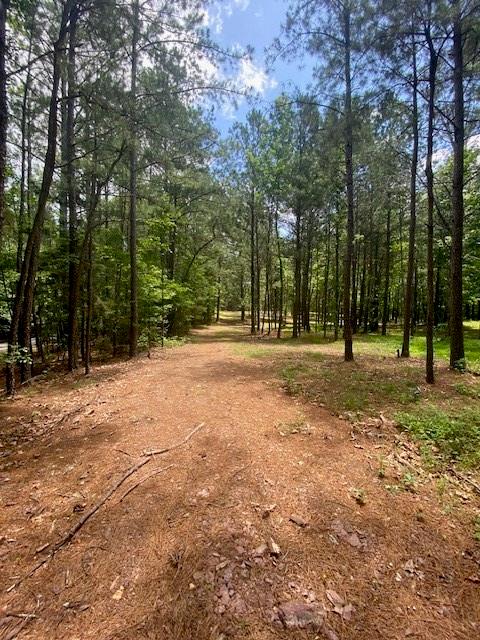 764 Everett Springs Road, Calhoun, Georgia image 2