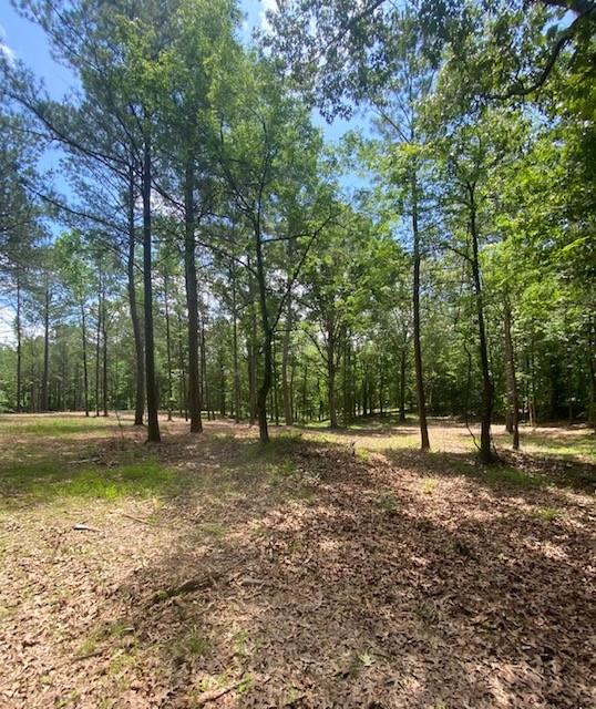 764 Everett Springs Road, Calhoun, Georgia image 4