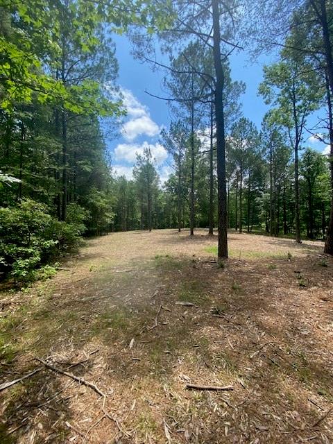 764 Everett Springs Road, Calhoun, Georgia image 6