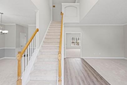 10905 Pinewalk Forest Circle