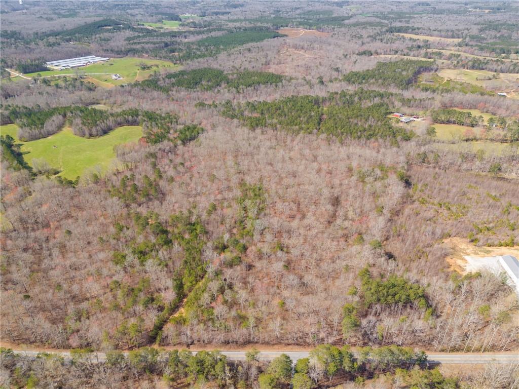 Tract3 Georgia Highway 100, Buchanan, Georgia image 49