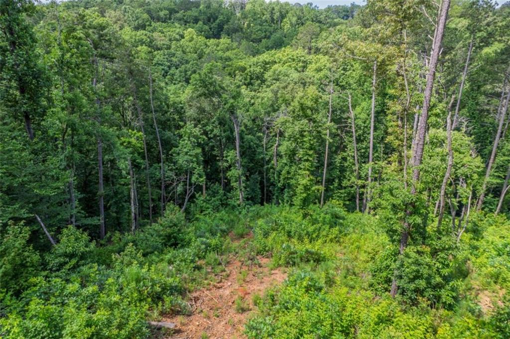 LT 246 Spear Point Drive